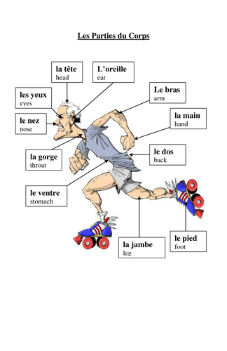 Body parts vocab sheet - labelled picture