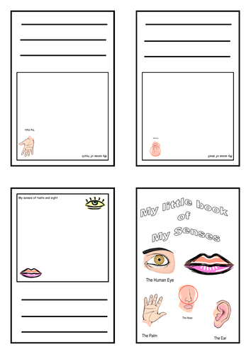 senses homework ks1