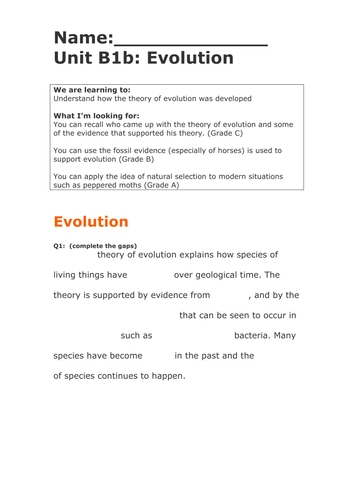 evolution ICT research