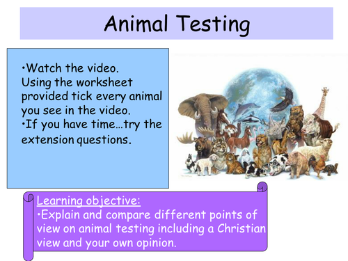 Animal Testing