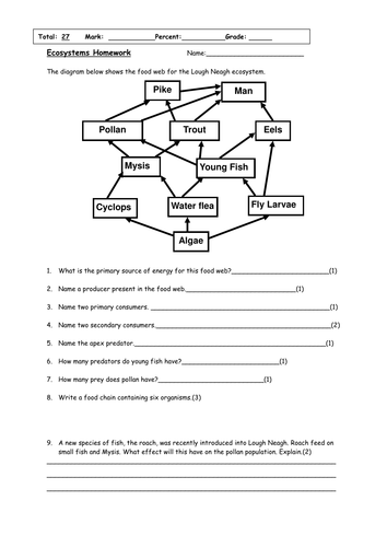 Worksheets Food Chains And Food Webs Worksheet collection of food chain and web worksheet sharebrowse sharebrowse
