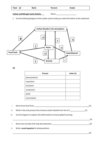 Printables The Nitrogen Cycle Worksheet nutrient cycle worksheet davezan carbon and nitrogen by richkirk68 teaching resources tes unit 6 the intrepidpath