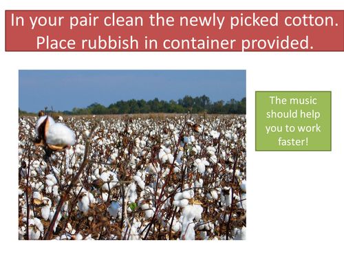 Life in a cotton plantation