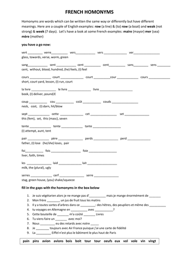 homonyms in french teaching resources