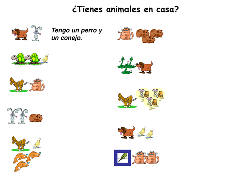¿Tienes un animal en casa?