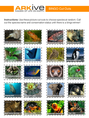 ARKive's Endangered Species Bingo