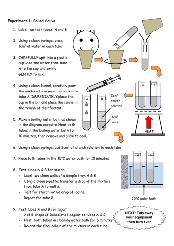 Investigating Saliva