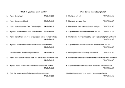 Who Discovered Photosynthesis?
