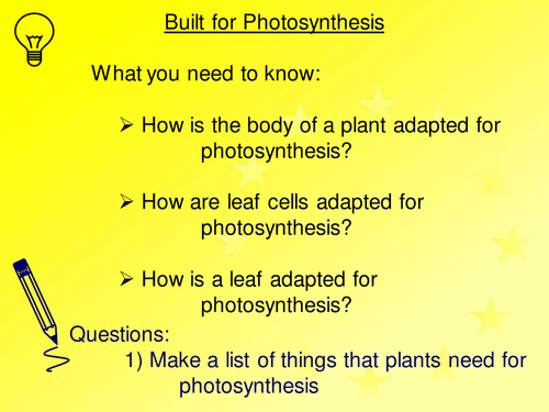 Built for Photosynthesis