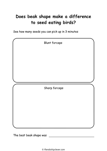 Beak Shape and Seed Eating Birds