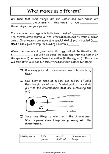 What Makes Us Different?