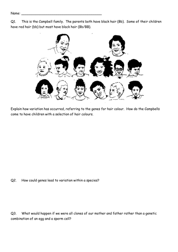 BTEC Applied Science: Harry Potter Genetics