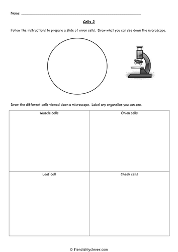 BTEC Applied Science: Cell Diversity