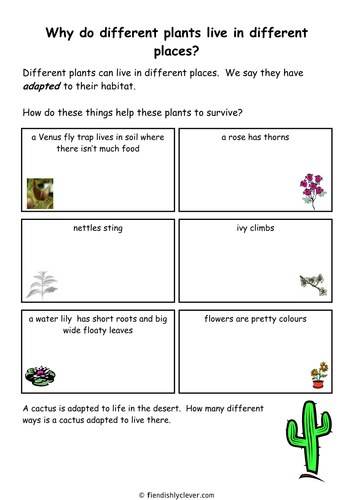 Why do different plants live in different places?