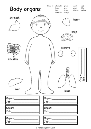 Human Body Printables Homeschooling 123 Kids Fun Apps Human Body 