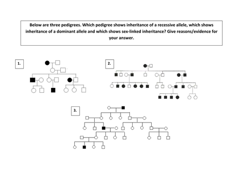 Worksheets Pedigree Practice Worksheets collection of genetics pedigree worksheet sharebrowse photos beatlesblogcarnival