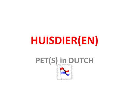 Huisdieren pets in Dutch