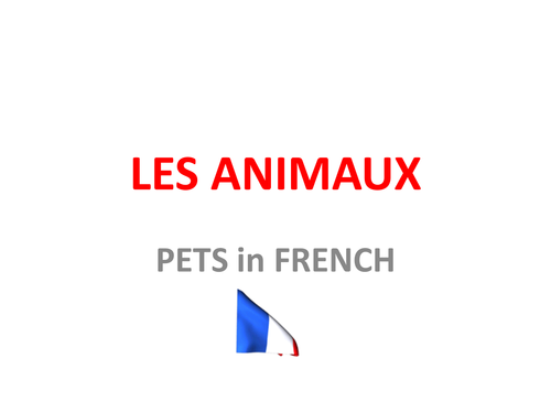 pets in French  les animaux