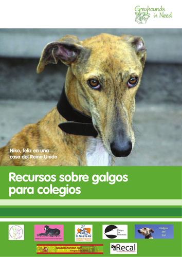 Galgo Schools Resource, Teacher Guidance (Spanish)