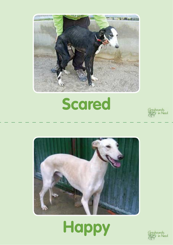 Flash cards - feelings and emotions