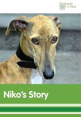 Story Picture Book - PowerPoint