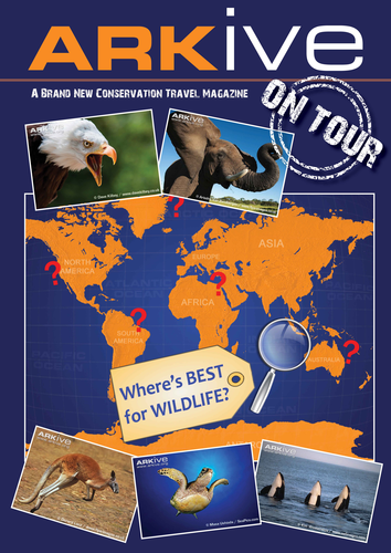 ARKive On Tour: write a wildlife travel article