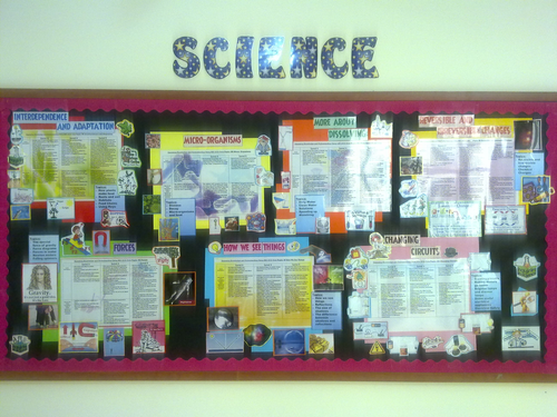 Year 6 Science Display Board - for ENTIRE year