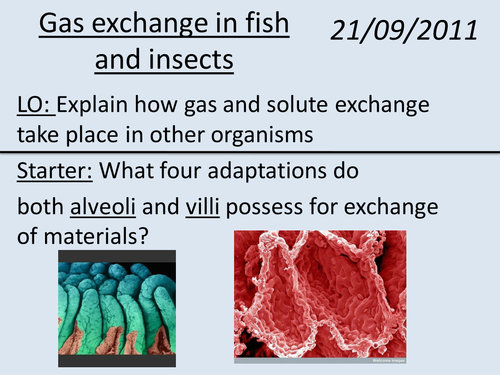 Exchange of materials in other organisms