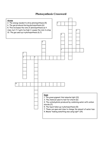 Photosynthesis Crossword