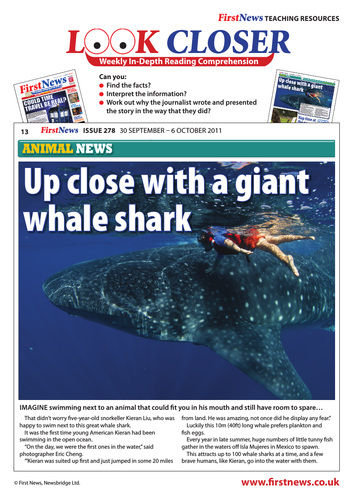 Look Closer: 'Up Close with a Whale Shark' News Report
