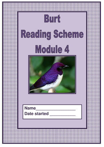 Synthetic Phonics module 4