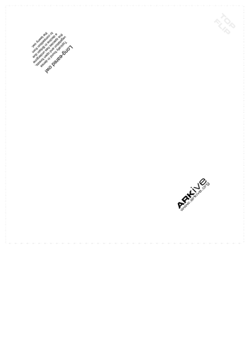 ARKive's Origami Animals