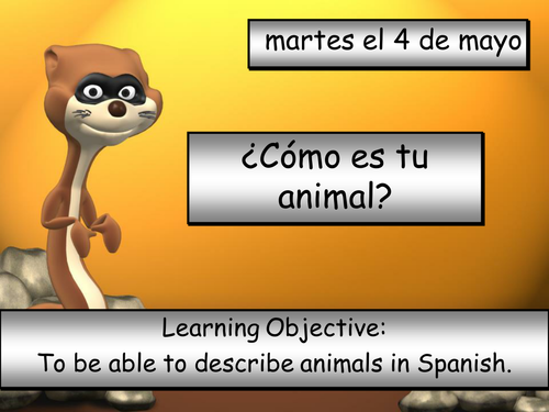 Cómo es tu animal?