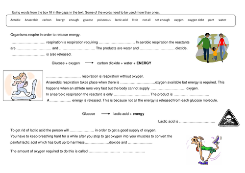 Anaerobic respiration | Teaching Resources