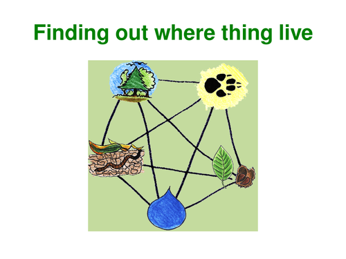 Where things live Power Point (Habitats)