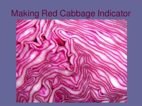 Red Cabbage Indicator Power Point