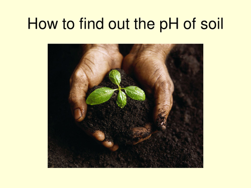 Soil pH Experiment Power Point