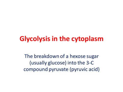 PowerPoint on Glycolysis - Respiration