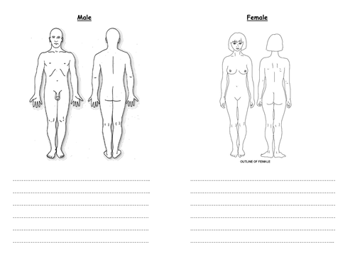 Printables Puberty Worksheets primary personal social and health education teaching resources differentiated puberty body changes worksheets