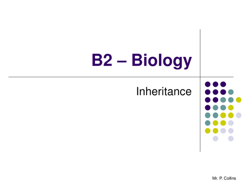 Biology B2 Revision (Part 8)