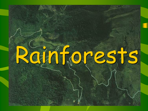 Rainforest powerpoint presentation | Teaching Resources