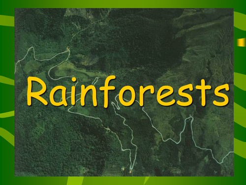 Rainforest powerpoint presentation