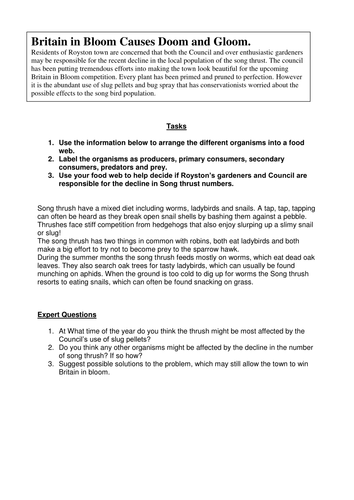 Food Web Investigation