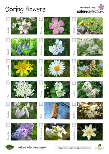 Flowers - Flower Hunt Sheet