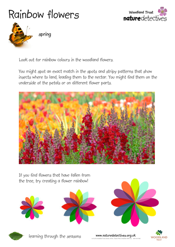 Flowers - Rainbow Flowers