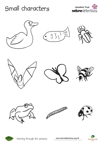 Small Wildlife Characters | Teaching Resources