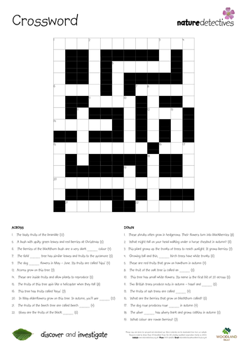 Holly Crossword Teaching Resources