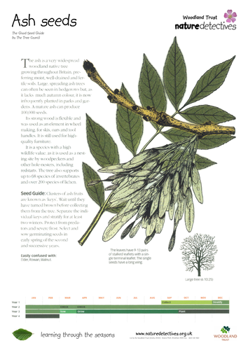 Keys - Collecting and Planting Seeds | Teaching Resources