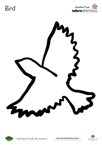 Birds - Colouring Sheets