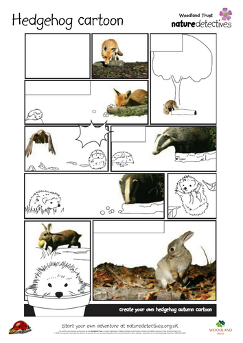 Hedgehog Cartoon
